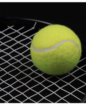 ZABAWKA PILKA DO TENISA 786667 6777438