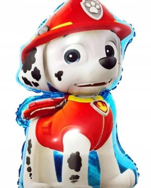 BALONY 70X45CM 6784216