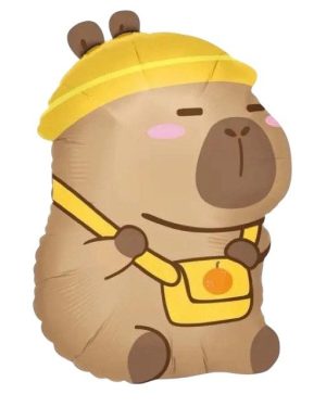 Balony foliowy 6784369