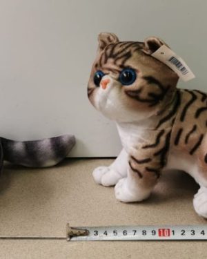 Realistyczna pluszowe koty 6791709