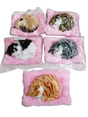 MASKOTKI ŚPIĄCYKOT  NA PODUSZCE 6791997