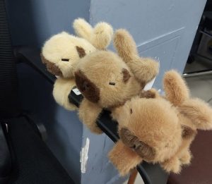 kapibara Pluszak Opaska 6792060