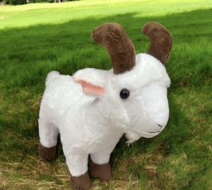 Ekstra pluszak maskotka Koza Koziołek 30 cm 6792218