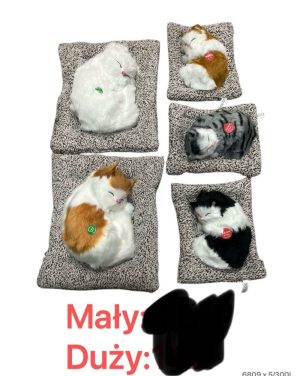 Maskotka kotki MALY 6792219