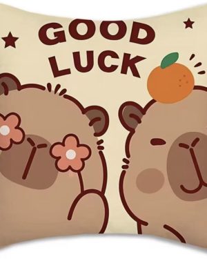 PODUSKZA 45*45CM 6792454