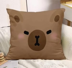 PODUSKZA 45*45CM 6792455