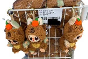 MASKOTKI LABUBU z przezroczyste pudelko 6792524