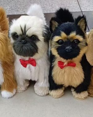 Maskotka na baterie 6792735