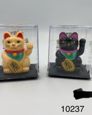 GENIALNY KOT 6793410