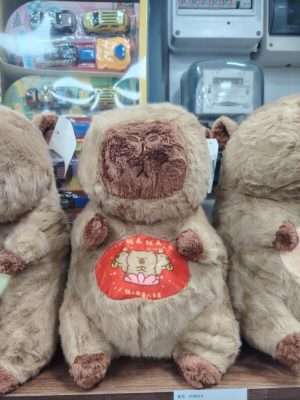 Maskotka Pluszowa Kapibara 25cm 8769849