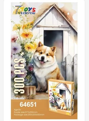 Zabawki Puzzle 300PCS 1147576