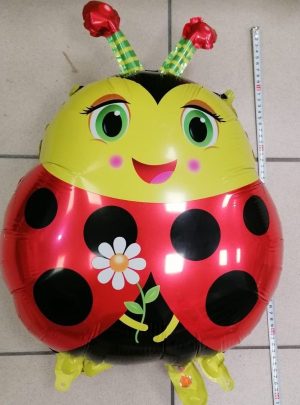 Zabawki Balon dla Dzieci 6927051