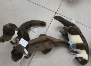 Maskotka PLUSZOWY BOBR  30 cm 5142998