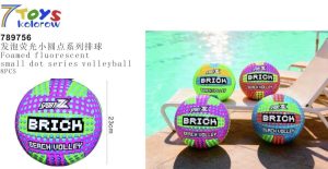 PILKA DO SIATKOWKI 1303525