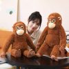 66CM Miś orangutan Małpa poduszka maskotka pluszak przytulanka 9144902