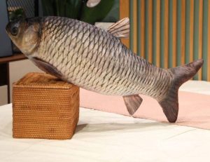 Maskotka Pluszowa Ryba 60cm 2582264