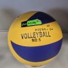 Piłka Volleyball 2582306