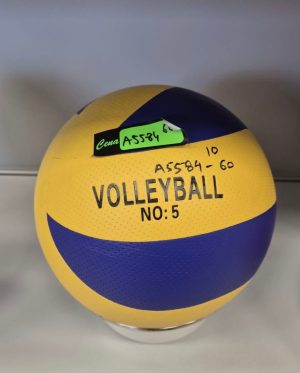 Piłka Volleyball 2582306