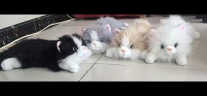 Maskotka kotek pluszowy 25cm 1839831