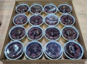 Gniotki Dumplings 4070778