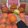 ZABAWKA GNIOTEK SQUISHY 3824672