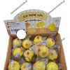 GNIOTEK SQUISHY 9605436